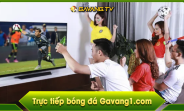 Xem Bóng Đá Trực Tuyến Tại Gà Vàng TV