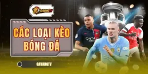 Các Loại Kèo Bóng Đá | Phân Tích 3 Hình Thức Cược Chuẩn 100%