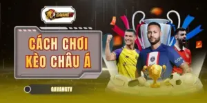 Cách Chơi Kèo Châu Á Rinh Ngay Phần Thưởng Lớn Mỗi Đêm