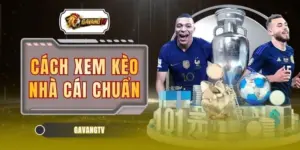 Cách Xem Kèo Nhà Cái Chuẩn Để Tối Ưu Tỷ Lệ Chiến Thắng