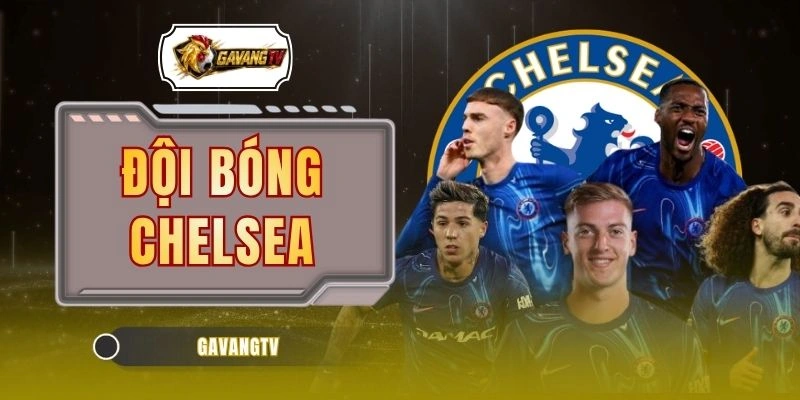 Đội Bóng Chelsea | Lịch Sử CLB, Thành Tích Và Đội Hình Mới 
