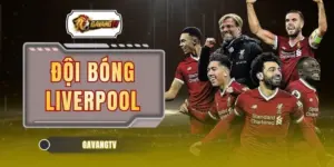 Đội Bóng Liverpool | 20 Cúp Vô Địch Và 6 Cúp C1 Châu Âu