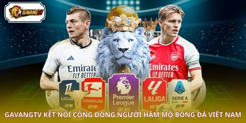 GAVANGTV kết nối cộng đồng người hâm mộ bóng đá Việt Nam