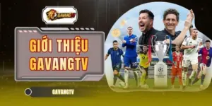 Giới Thiệu GAVANGTV | Cập Nhật Tin Tức, Kết Quả Mỗi Ngày 