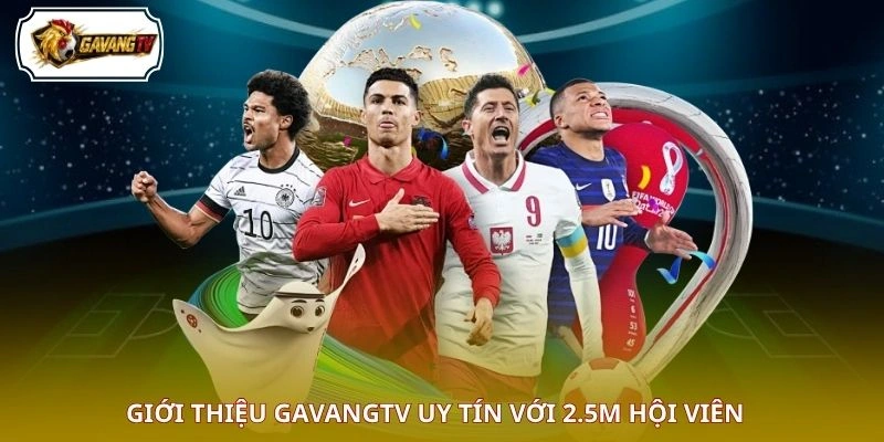 Giới thiệu GAVANGTV uy tín với 2.5M hội viên