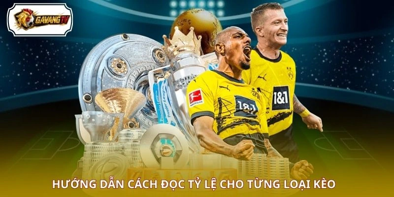Hướng dẫn cách đọc tỷ lệ cho từng loại kèo