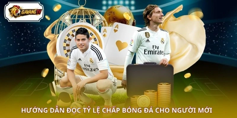 Hướng dẫn đọc tỷ lệ chấp bóng đá cho người mới